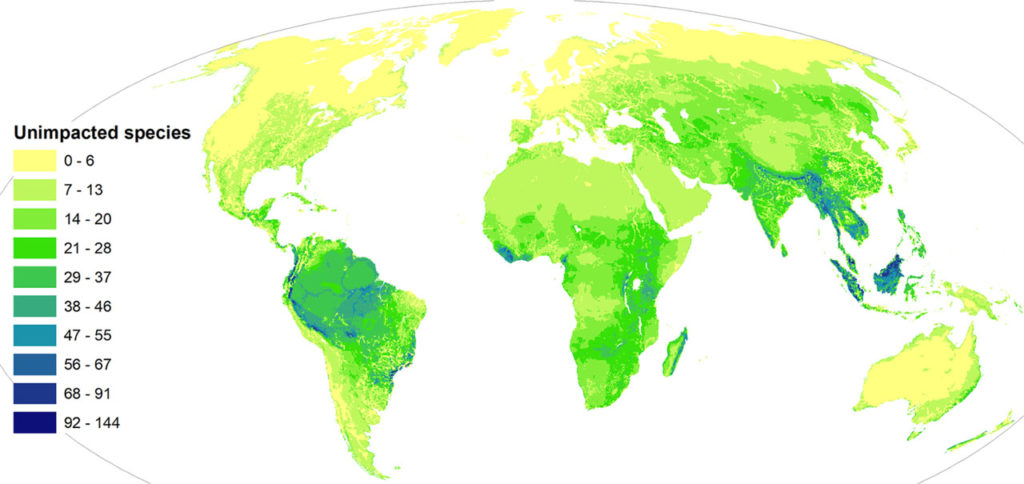 Especies no impactadas