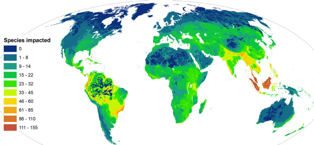 Impacto sobre especies