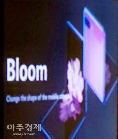 Galaxy Bloom