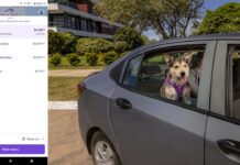 Cabify Mascotas