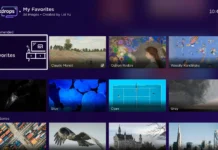 Roku lanza Backdrops en Argentina: convierte la TV en una galería de arte digital Backdrops Roku